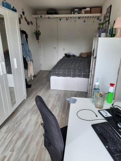 Kamer - Calslaan - Enschede