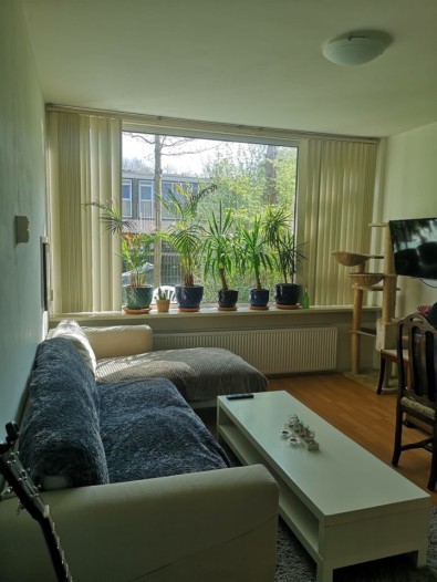 Kamer - Loderstraat - Rotterdam