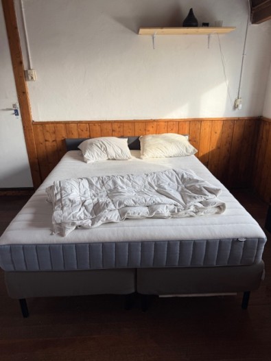 Kamer - Goeman Borgesiusstraat - Delft
