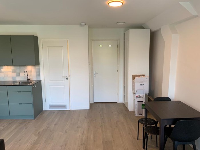 Appartement - Ruysdaelkade - Amsterdam
