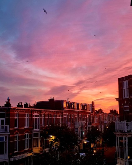 Kamer - Weimarstraat - 's-Gravenhage