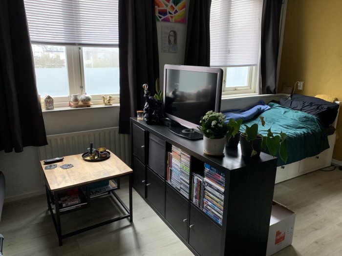 Kamer - Raemaekerslaan - Nieuwegein