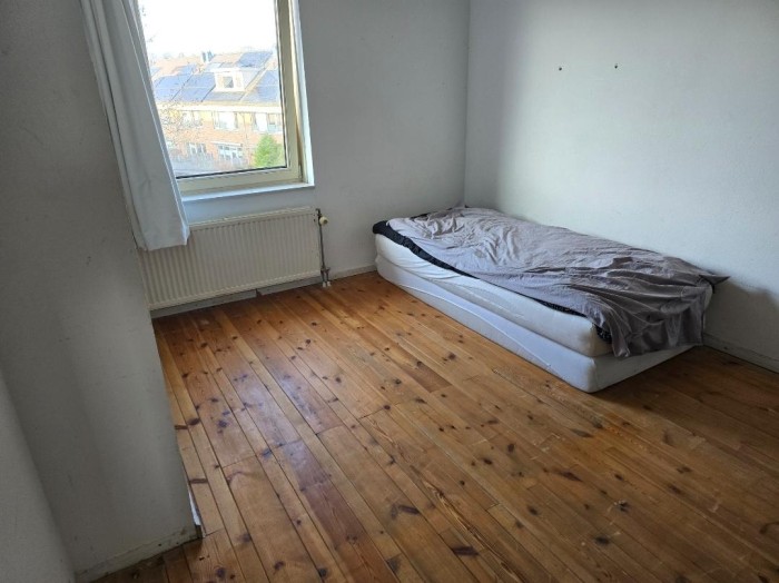 Kamer - Dorsvlegel - Soest