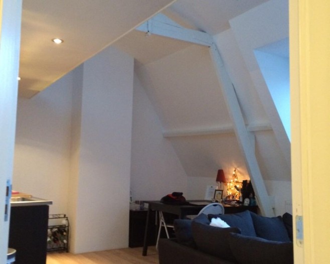 Appartement - Frans Halsstraat - Haarlem