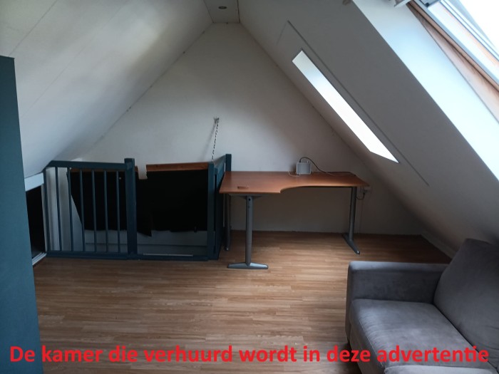 Kamer - Hondsrug - Utrecht