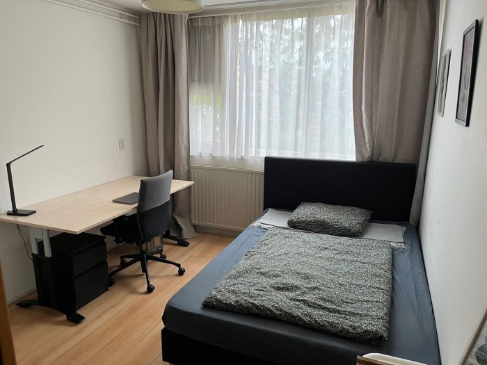 Kamer - Havikskruid - Diemen