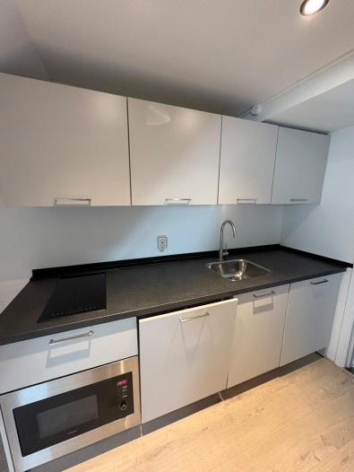 Kamer - van Trieststraat - Nijmegen