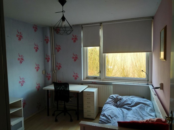 Kamer - Lariksdreef - Vlaardingen