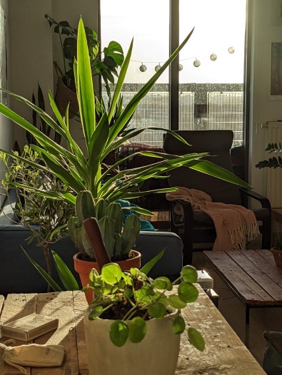 Kamer - R.J.H. Fortuynplein - Amsterdam