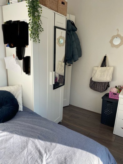 Kamer - Kamperfoeliestraat - 's-Gravenhage