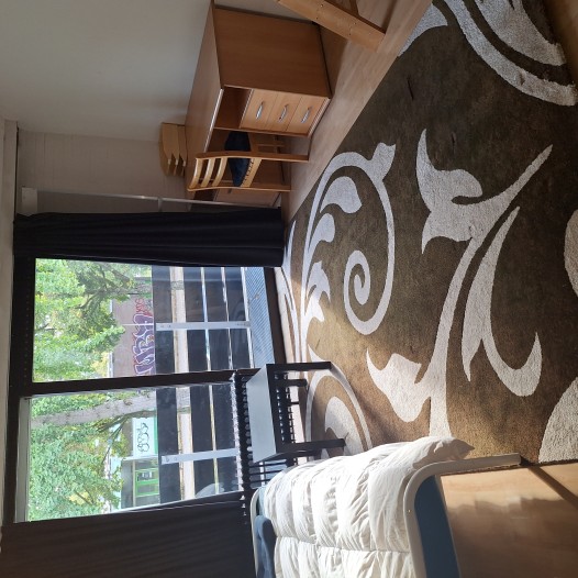 Kamer - Grebbeberglaan - Eindhoven