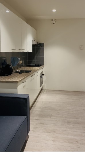 Appartement - Vliegend Hertlaan - Utrecht