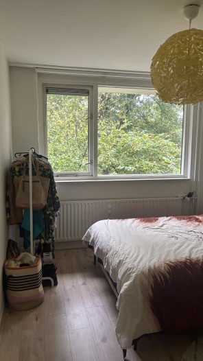 Kamer - Planetenlaan - Groningen