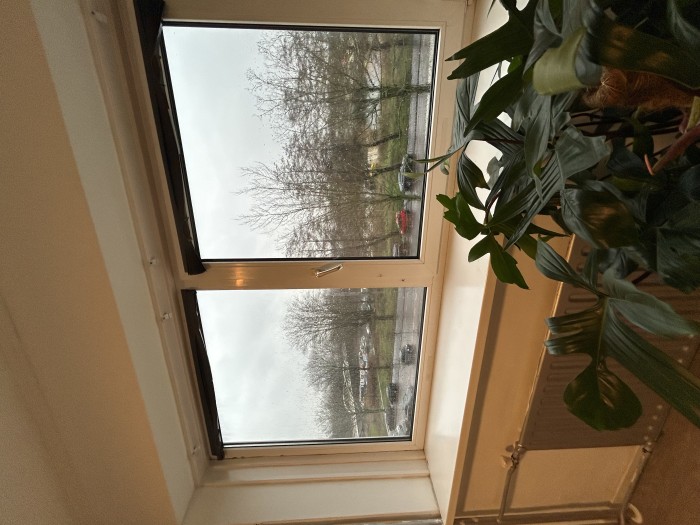 Kamer - Zuidervaart - Zaandam