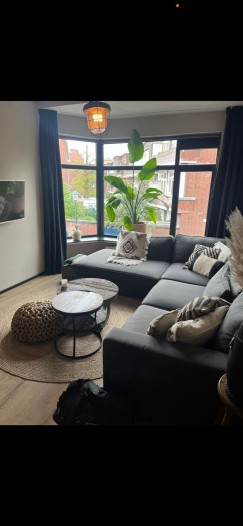 Kamer - Ananasstraat - 's-Gravenhage