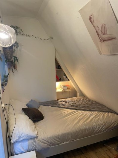 Kamer - Multatuliweg - Delft
