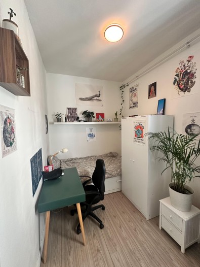 Kamer - Bilderdijkstraat - Amsterdam